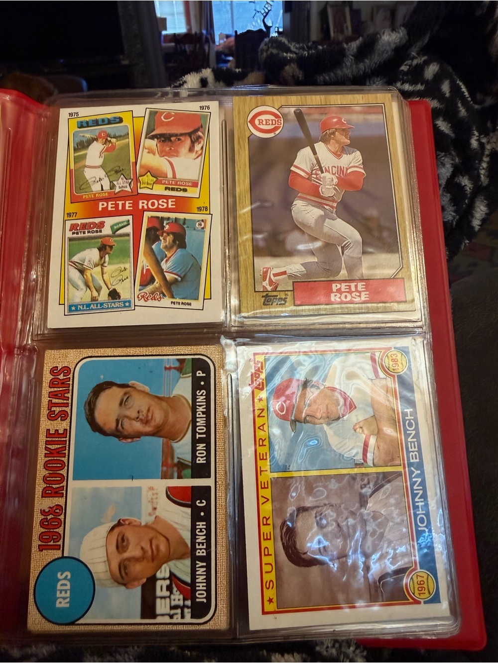 Topps Red Baseball Card Binder Pages with Vintage Reds Cards